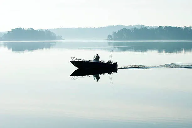 Thisisnottea tweet media