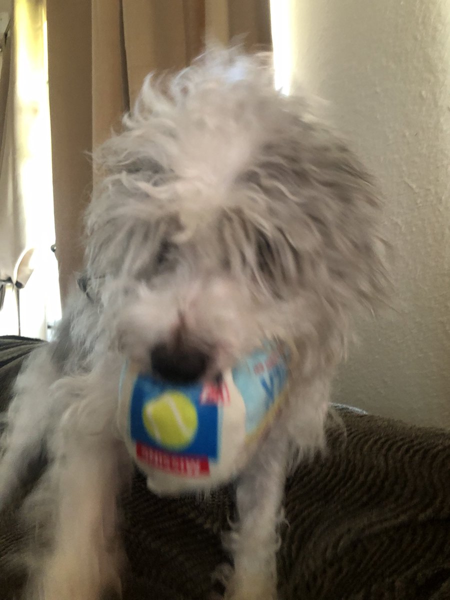 Well moma she has to go back to work tomorrow. She still tired from last week. I wish she was retired l ready and just stayed home with me all the time.