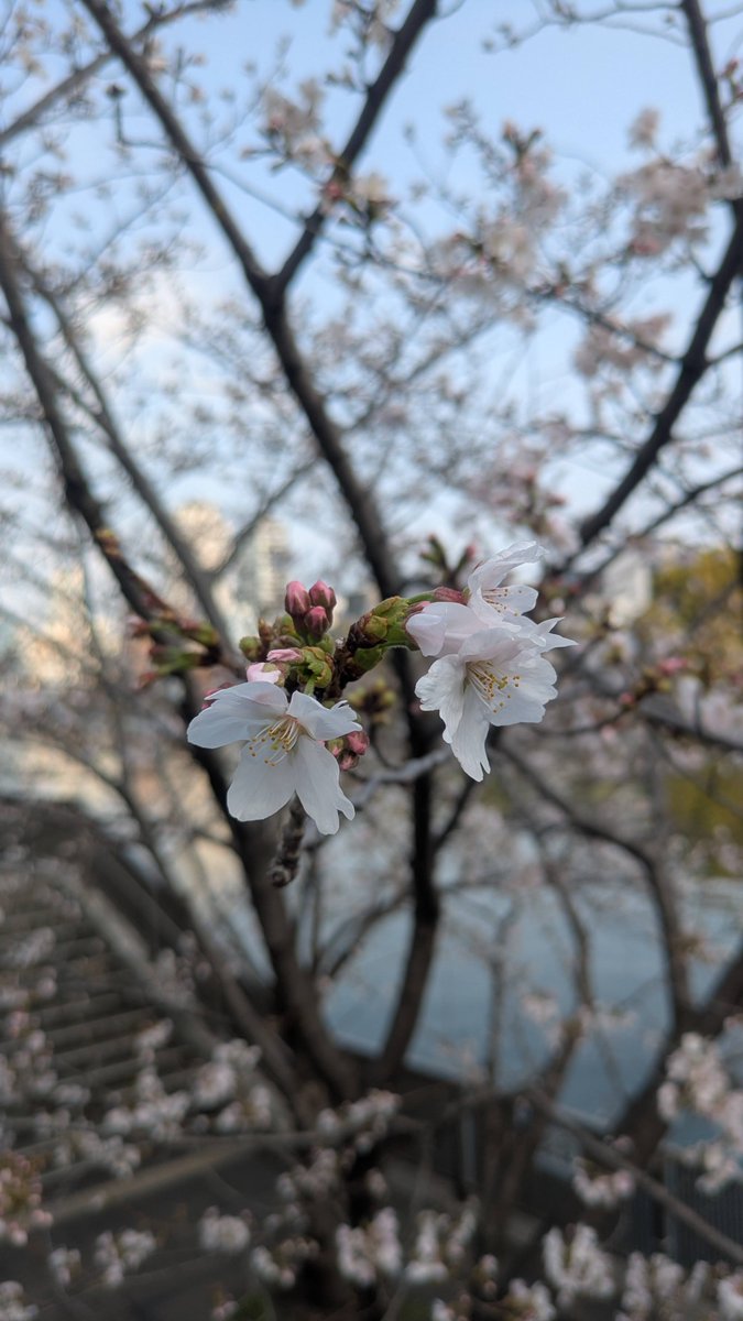 トロフィー販売🏆 ichikawa-sk tweet media