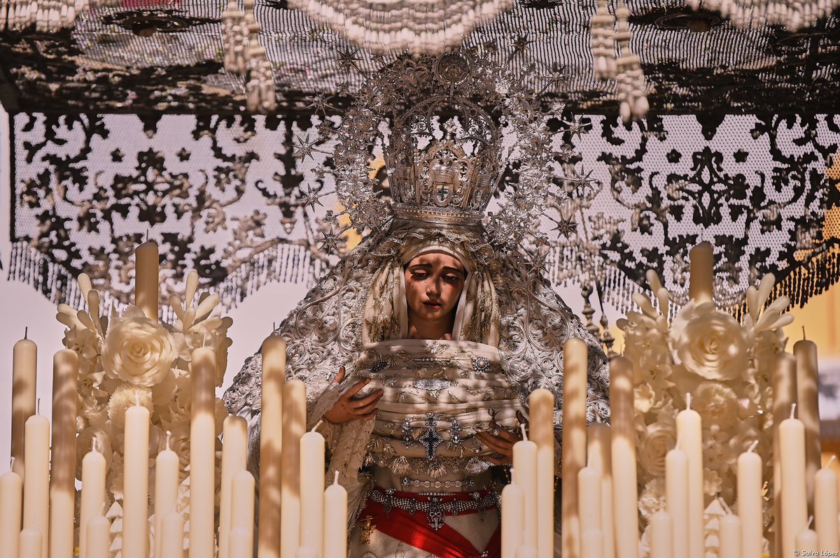 SalvaLpezMedina's tweet photo. Domingo de Ramos • Semana Santa Sevilla 2026

📸 @SalvaLpezMedina 

#SSantaSevilla26 https://t.co/UJHvFgAWR9