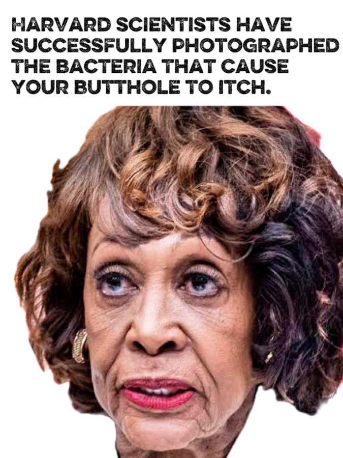 ˜”*°•.˜”*°• John Thune a RINO Coward •°*”˜.•°*”˜ tweet media