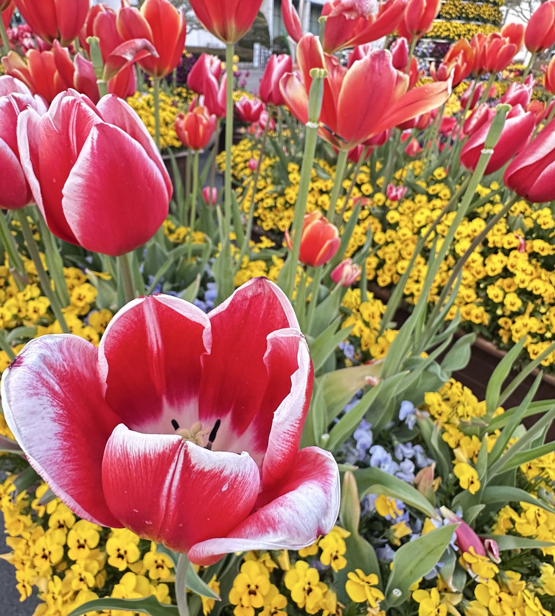 Ev4Years tweet media