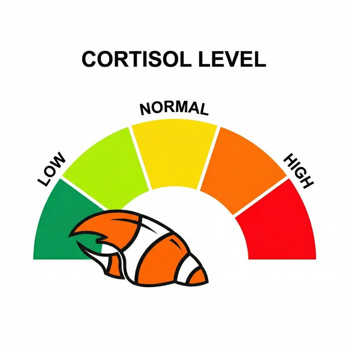 Big Motion tweet media