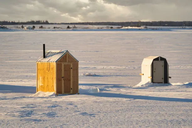 Thisisnottea tweet media