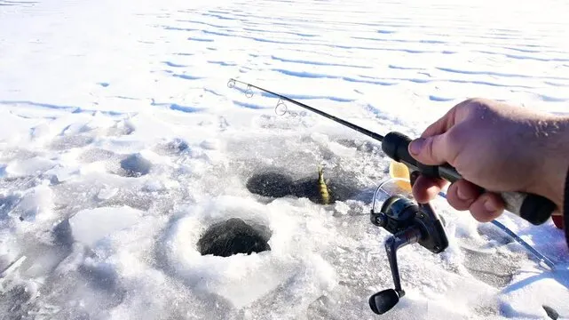 Thisisnottea tweet media