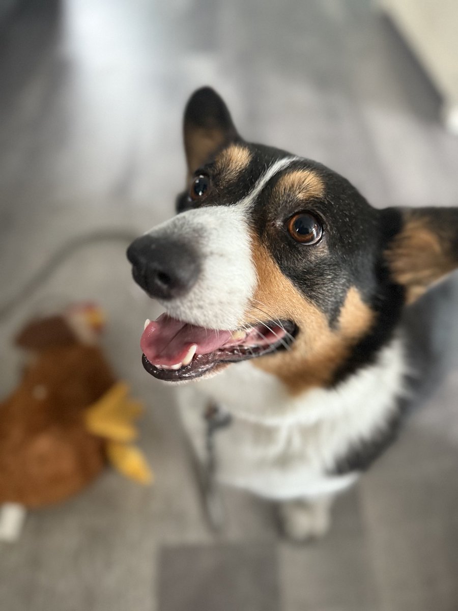 Dustin Vannatter tweet media