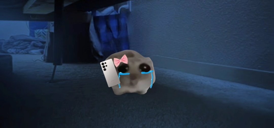 Hello I'm the sad Hamster 🐹🎻
