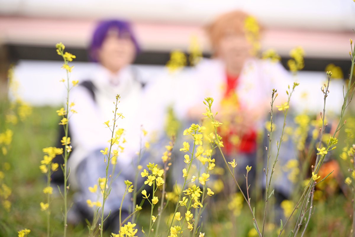 ゆーな@3.4a！🍑👹 tweet media