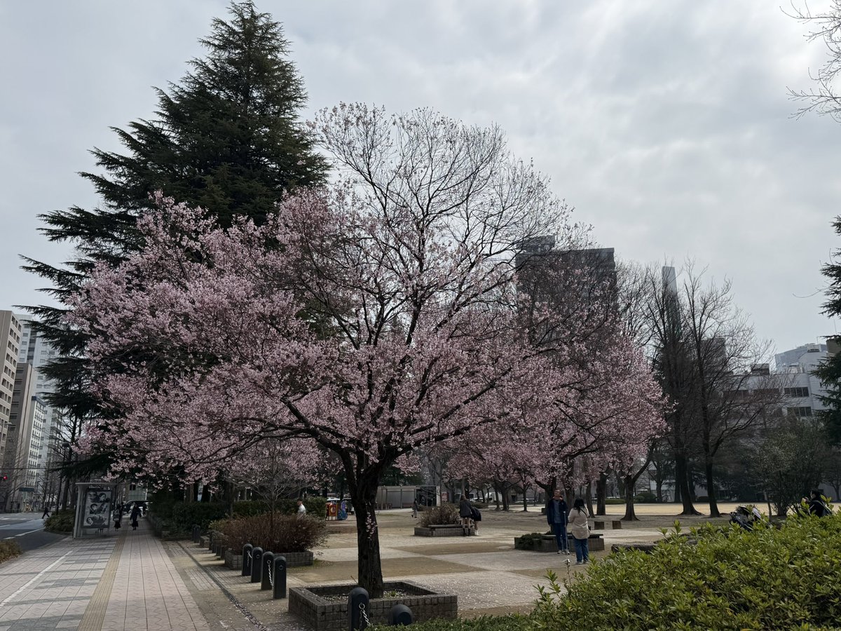 篠𠩤正@気象キャスター tweet media