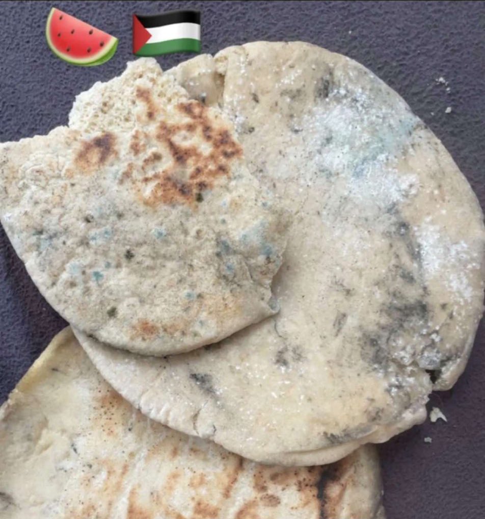 Moheb from Gaza 🍉🇵🇸 tweet media