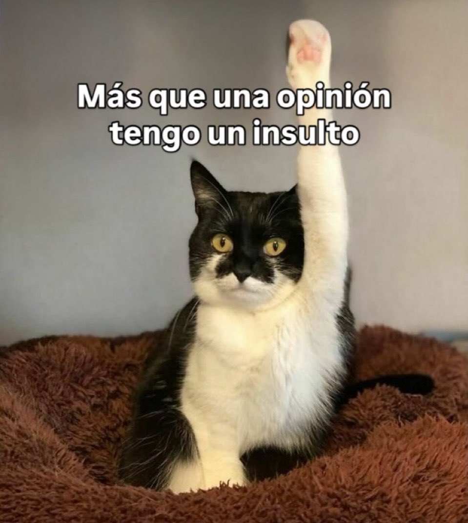 Mario Sanchez tweet media