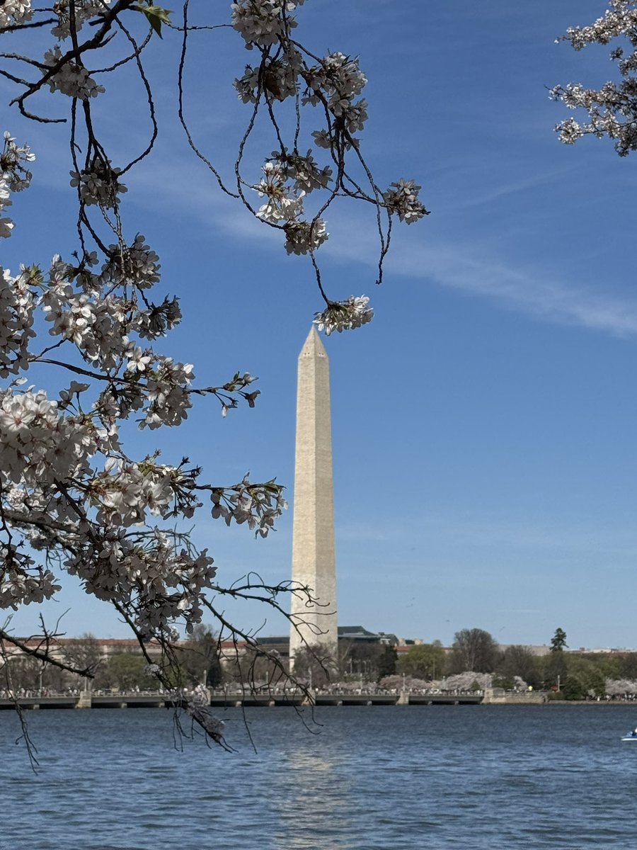 Andrew Colantoni 🚀 tweet media