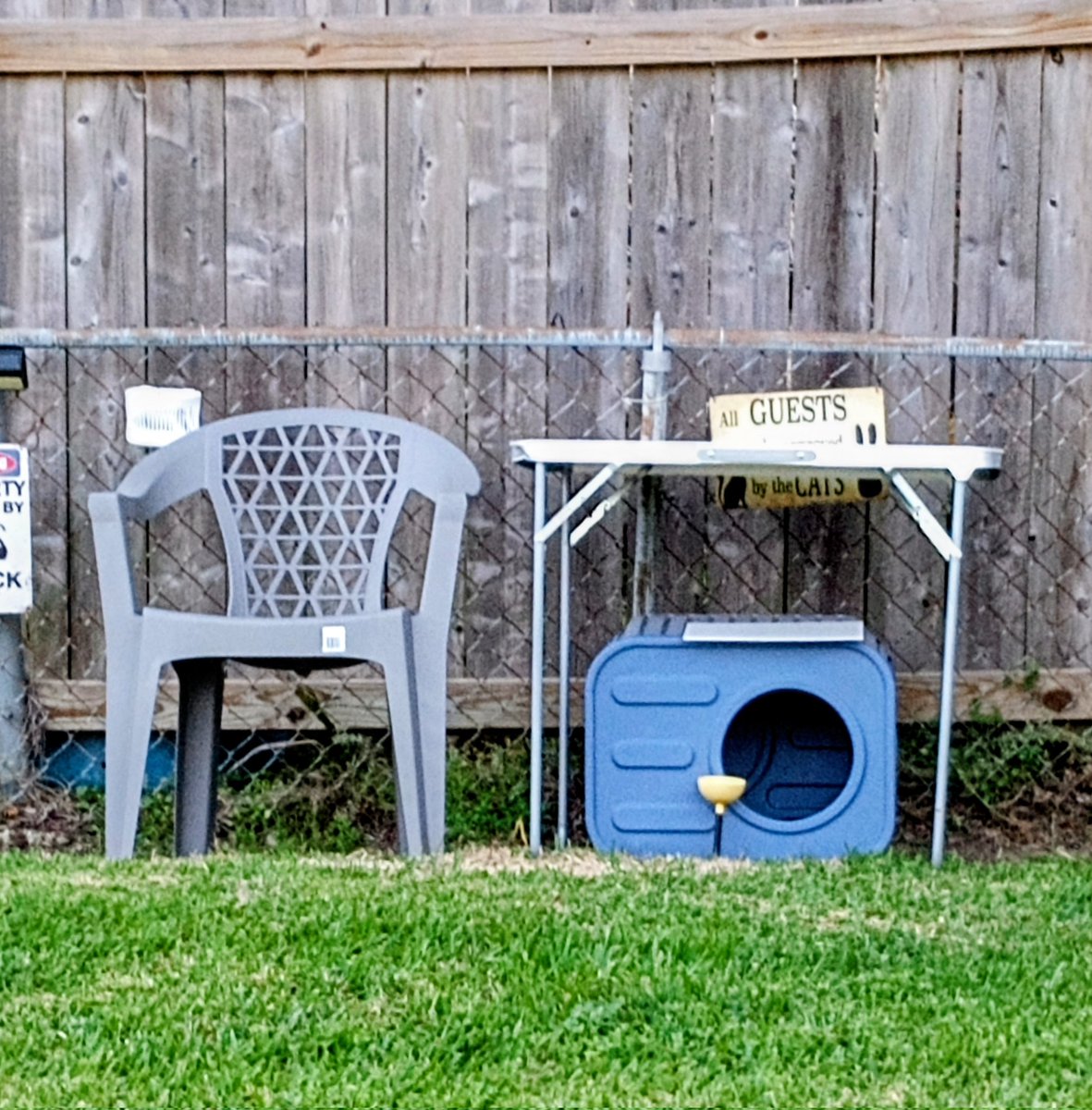 ⓋCindy M Lawrenceⓥ💜💛 💚 tweet media