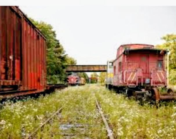 ⓋCindy M Lawrenceⓥ💜💛 💚 tweet media