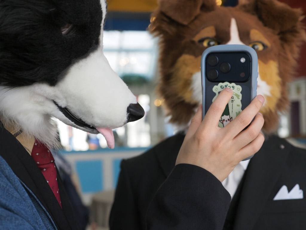Shocking facts😳

Photo by (<a href="/yultuku/">ユック</a> )

#ケモノフォーカス 
#FursuitEveryday 
#shippocrafts 
#Bill_CurtisMemory