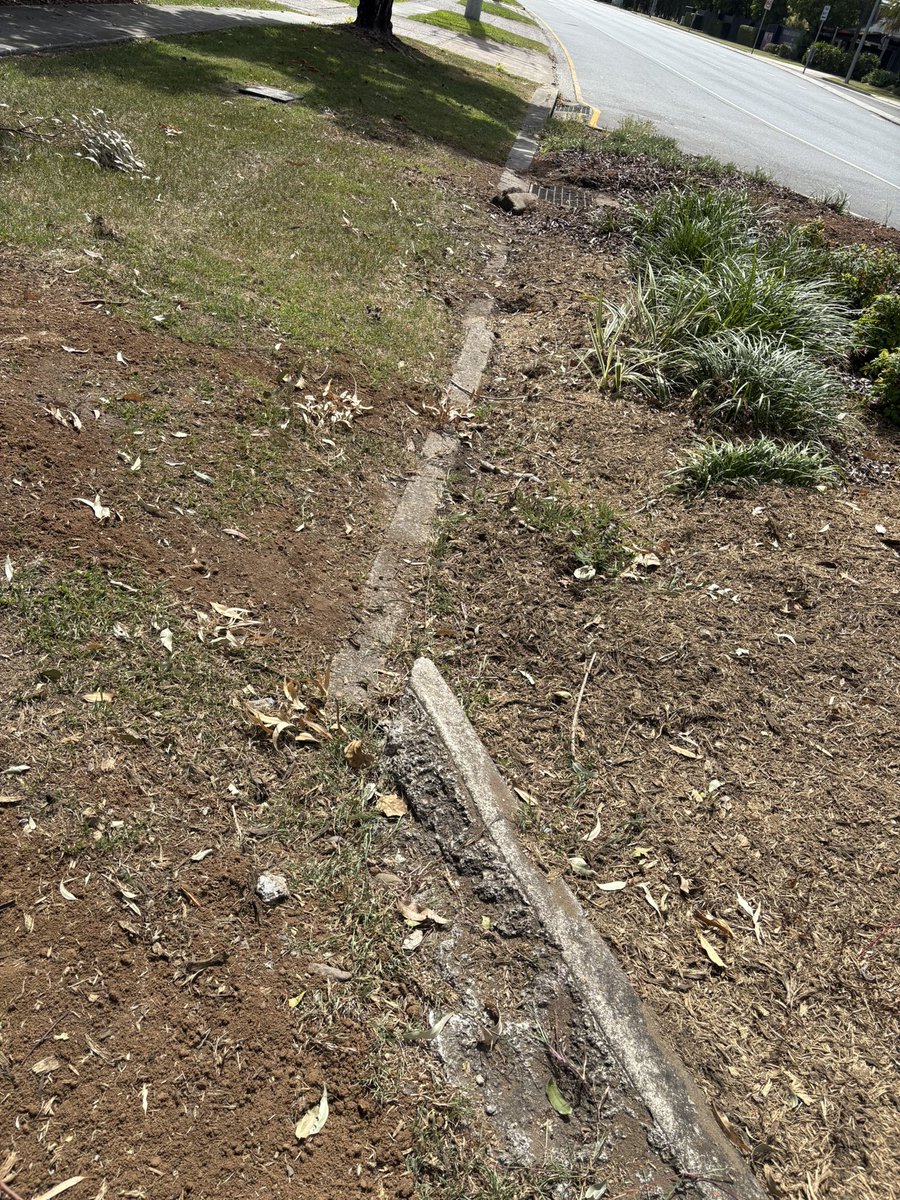 Steve Griffiths tweet media