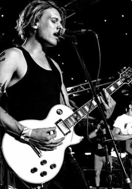 ❦︎ 🦜 tweet media