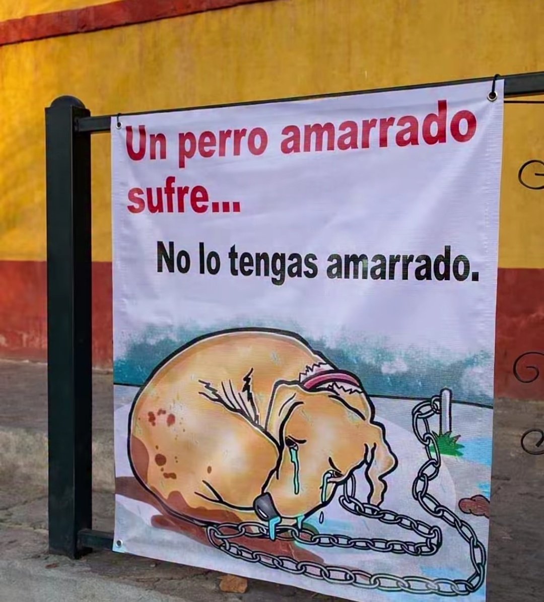 Manu Saenz💛💛 tweet media