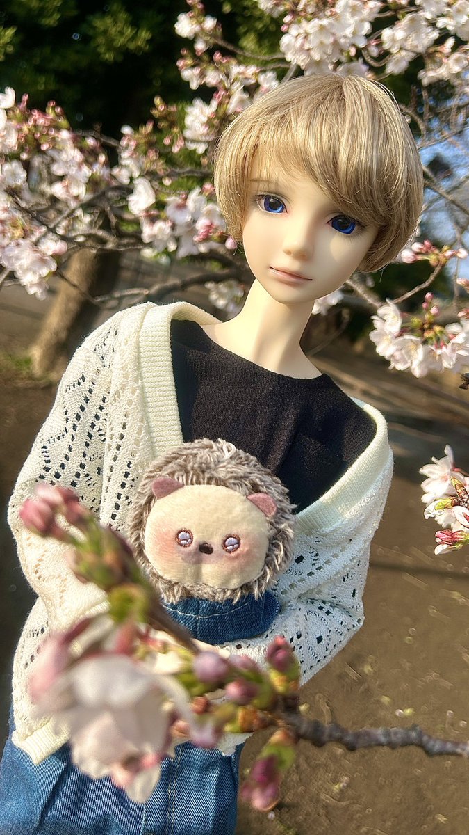 カヌレ tweet media