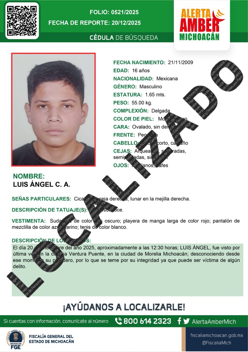Alerta Amber Mich. tweet media