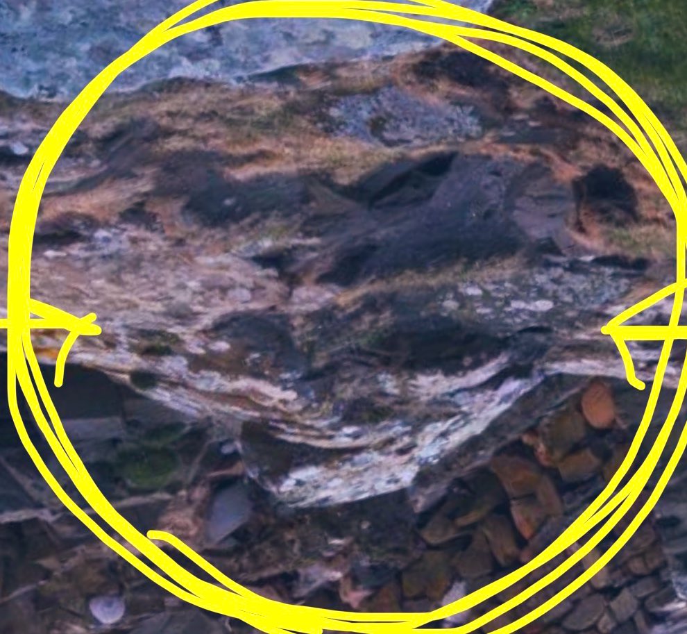 New Reformed Gnosticism tweet media