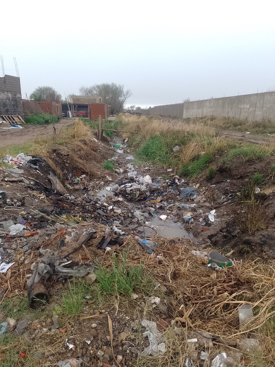 Sierra sur G1. tweet media