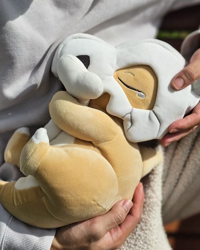 Pokémon Perfect shots tweet media