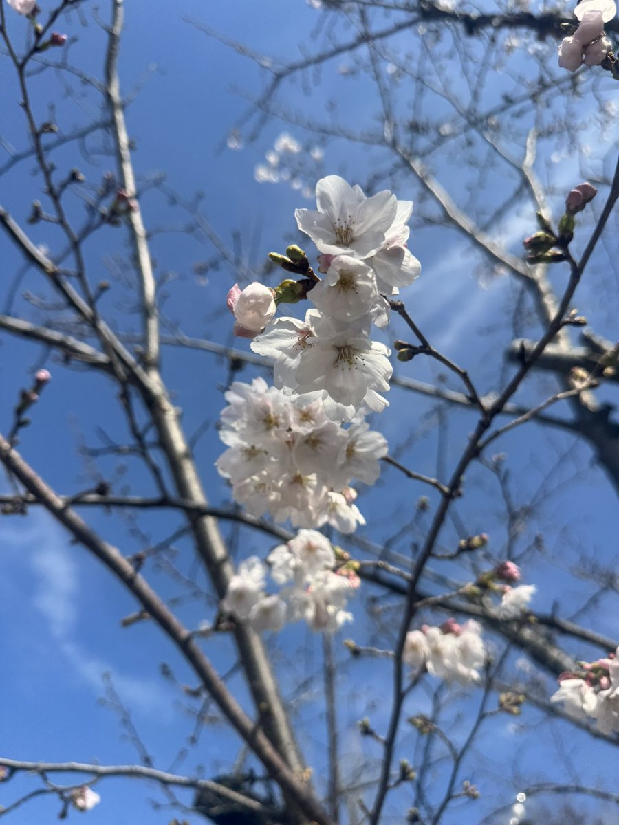 【公式】サンワールド株式会社 tweet media