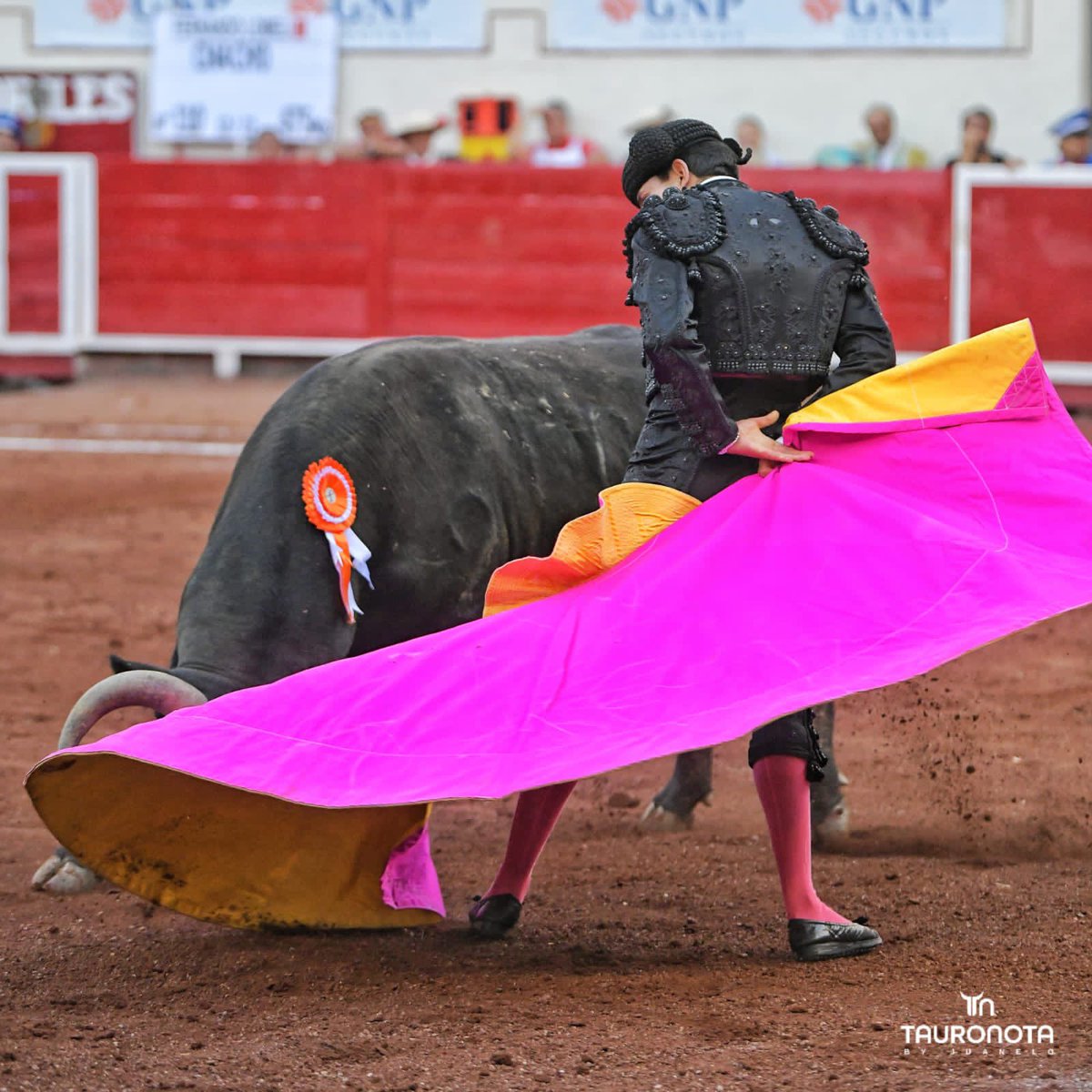 Dimensión Taurina By Tauro Nota tweet media