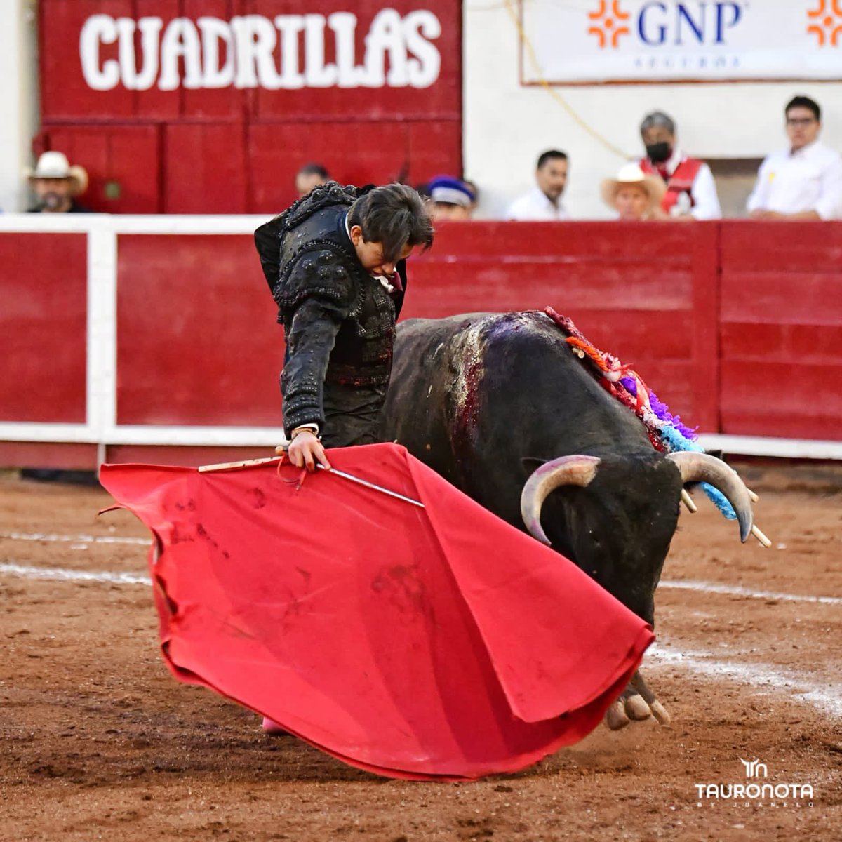 Dimensión Taurina By Tauro Nota tweet media