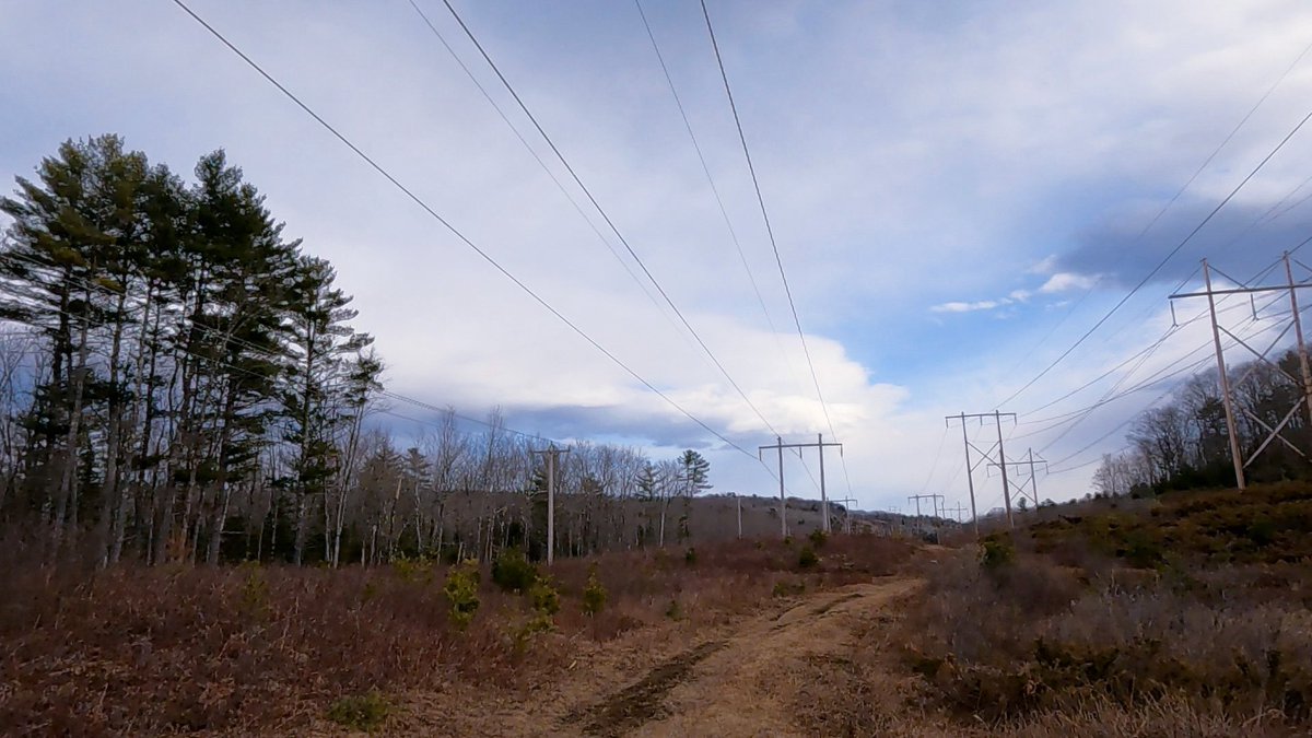 Moni 💕 tweet media