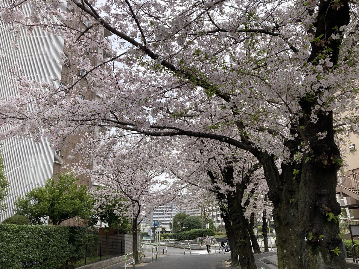 リバウンドせん蔵 ~ 運動やめたら ダイエット成功 - 50 kg (125 kg→73 kg) tweet media