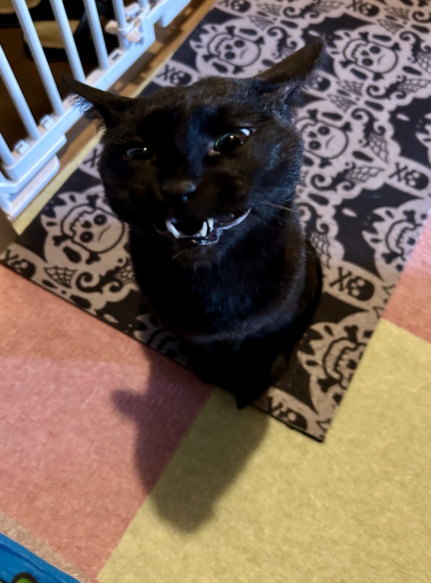 Comic Strip☆ tuffy tweet media