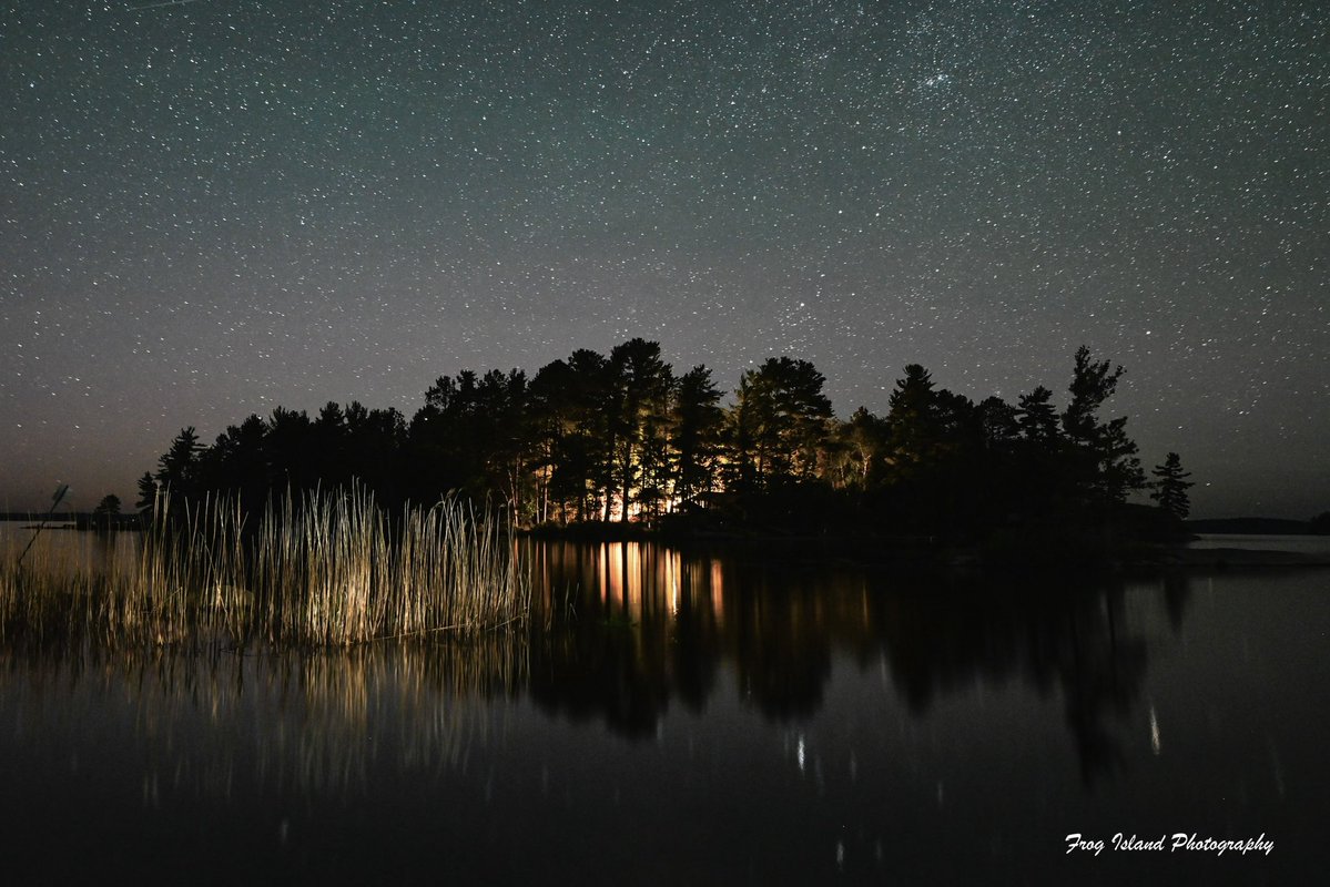 Frog Island Photography tweet media