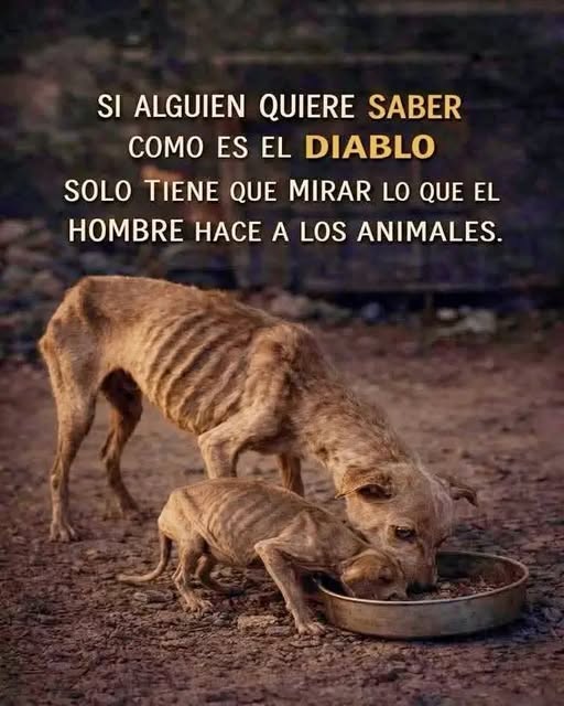 Pa Cas🤜🤛 tweet media