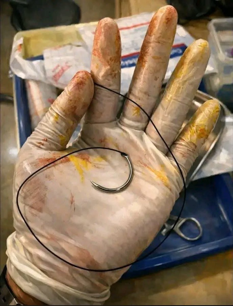 BIGJO🇨🇲🇨🇩🇲🇿 tweet media