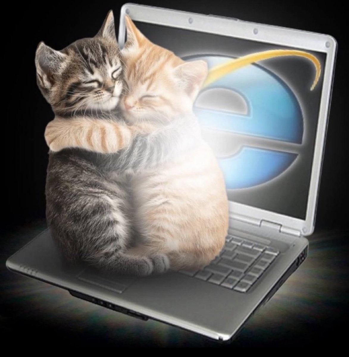 فيرموث tweet media