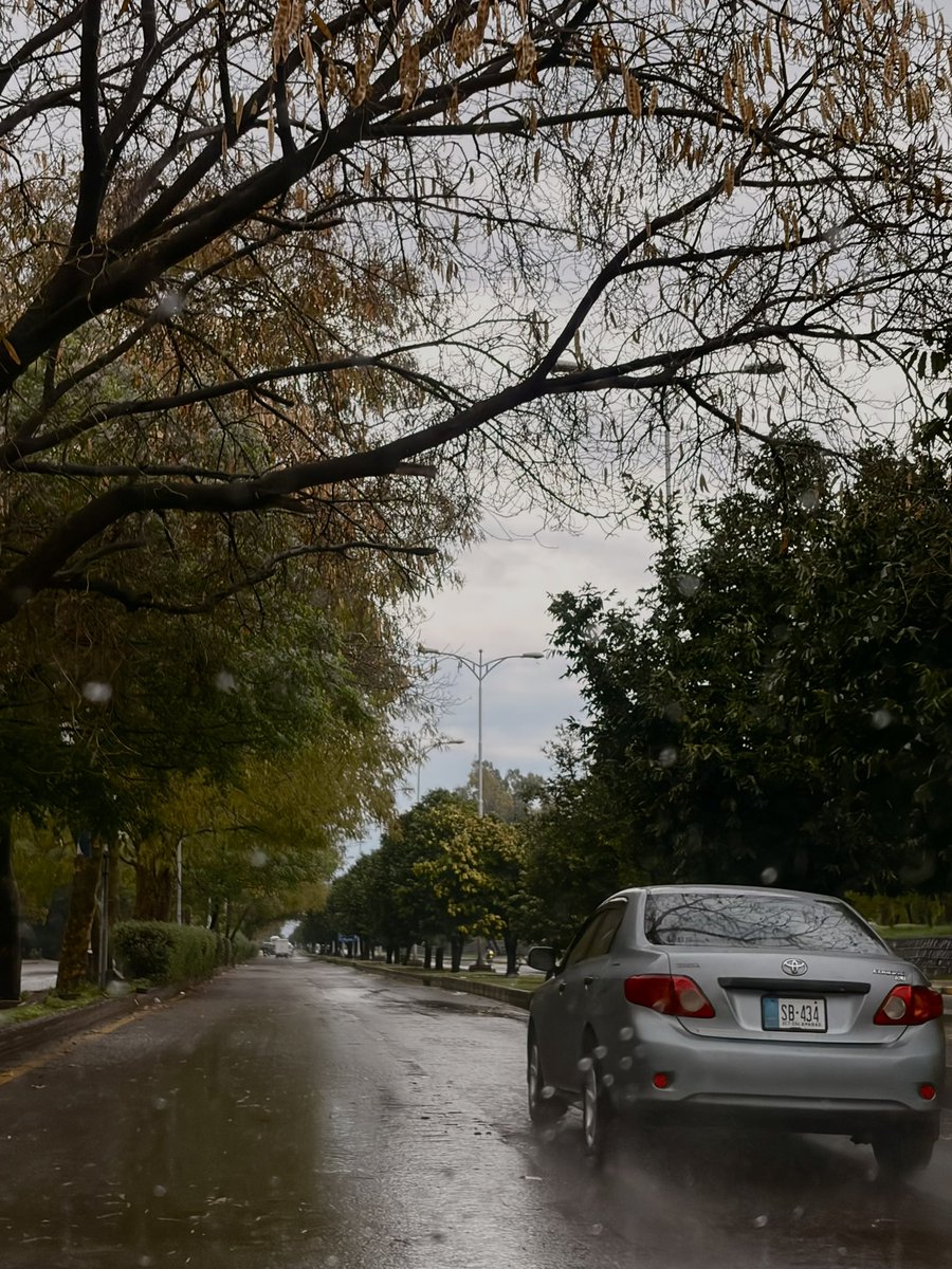 سارہ tweet media