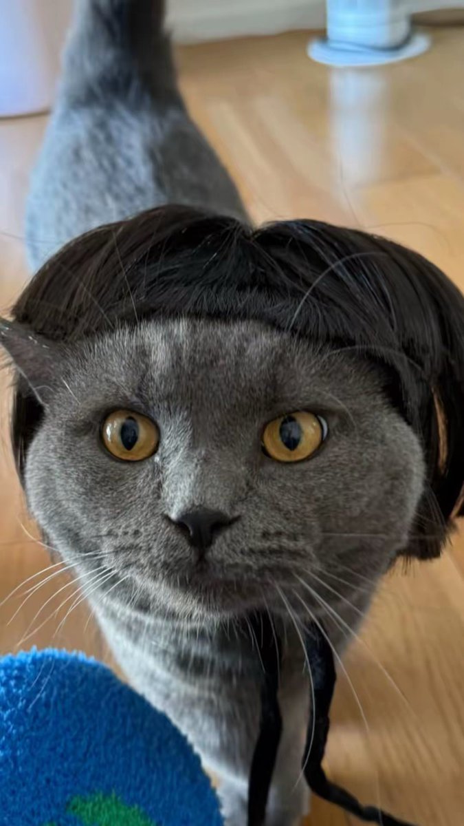 มีนนาไม่ใช่มีนา tweet media