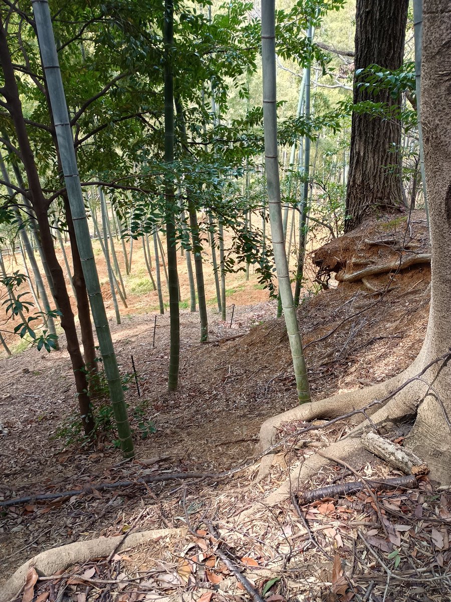 やっほー tweet media