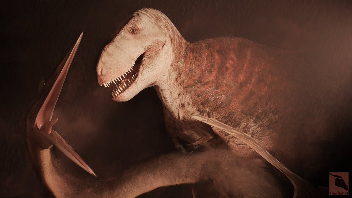 Nicole Birk tweet media