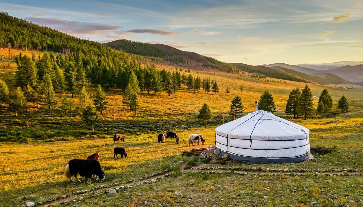 MTO_Mongolia's tweet photo. ДЭЛХИЙН АЯЛАЛ ЖУУЛЧЛАЛЫН ФОРУМ МОНГОЛ УЛСЫГ 2026 ОНД АЯЛАЛ ЖУУЛЧЛАЛЫН ШИНЭ ТӨВ ГЭЖ ДҮГНЭЖЭЭ
2024 онд Lonely Planet “Шилдэг аяллын чиглэл” нэрлэгдсэний дараа 🇲🇳аялал жуулчлал эрчимтэй өсч 2026 оны дунд үе гэхэд 1 сая гадаад жуулчны босгыг давлаа
Дэлгэрэнгүй-https://t.co/pVLHDi7Yvl https://t.co/6w3DHiKAbF