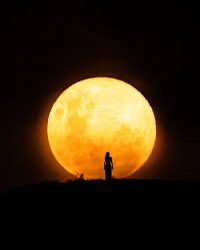 jesus martin santos tweet media