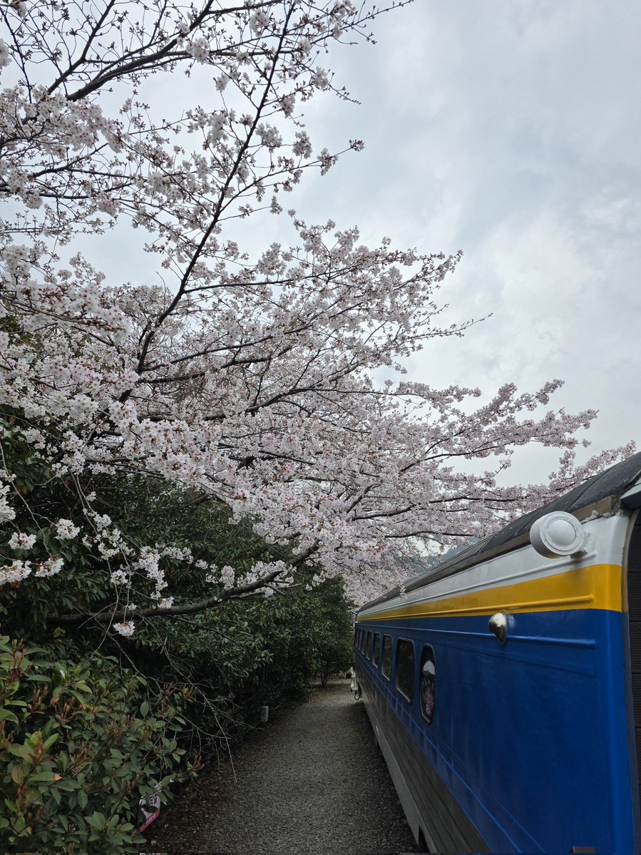 Ev4Years tweet media