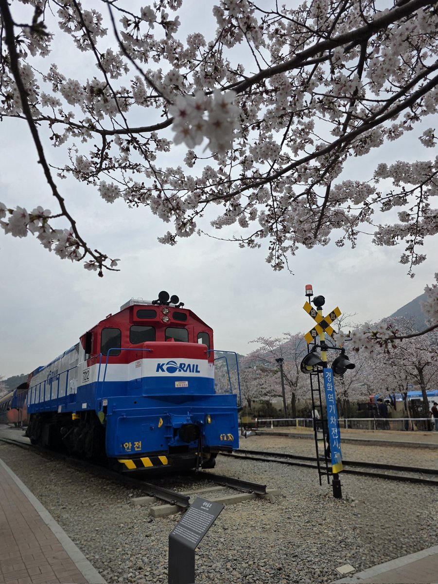 Ev4Years tweet media