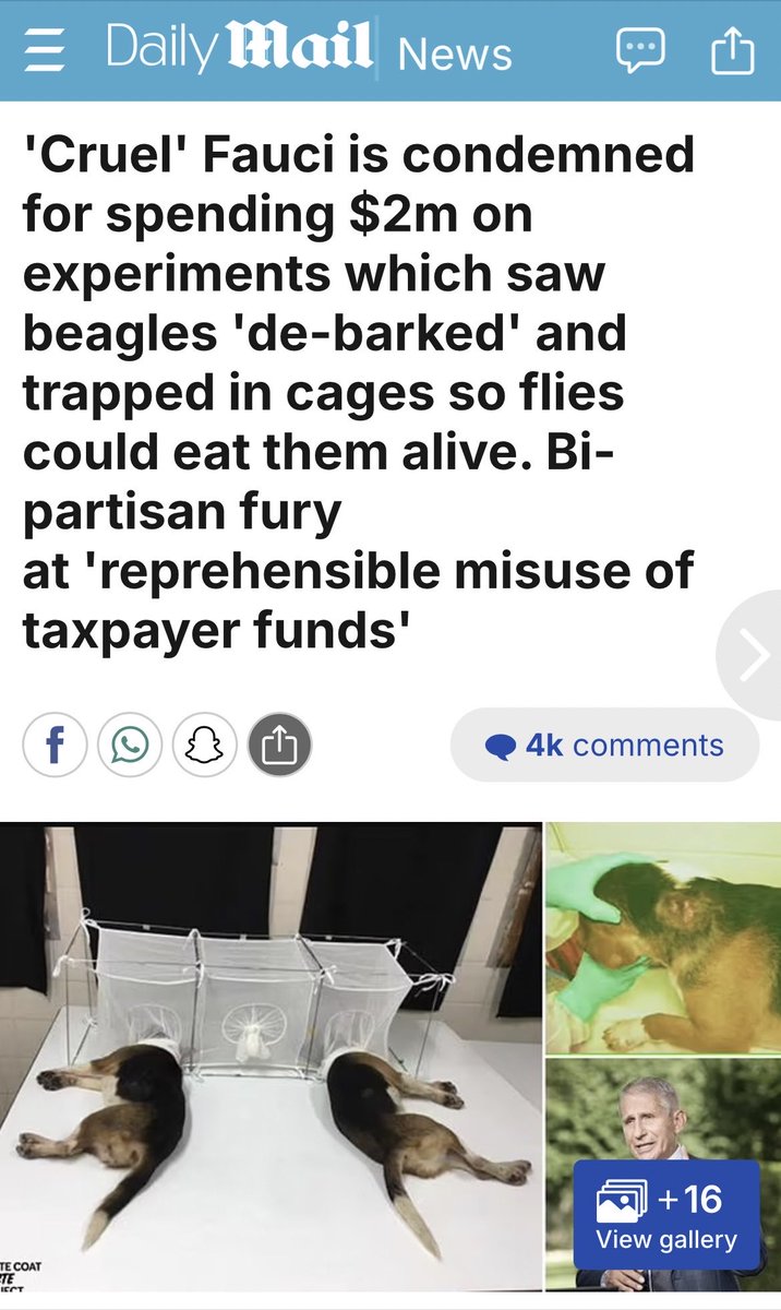 🇺🇸 tweet media