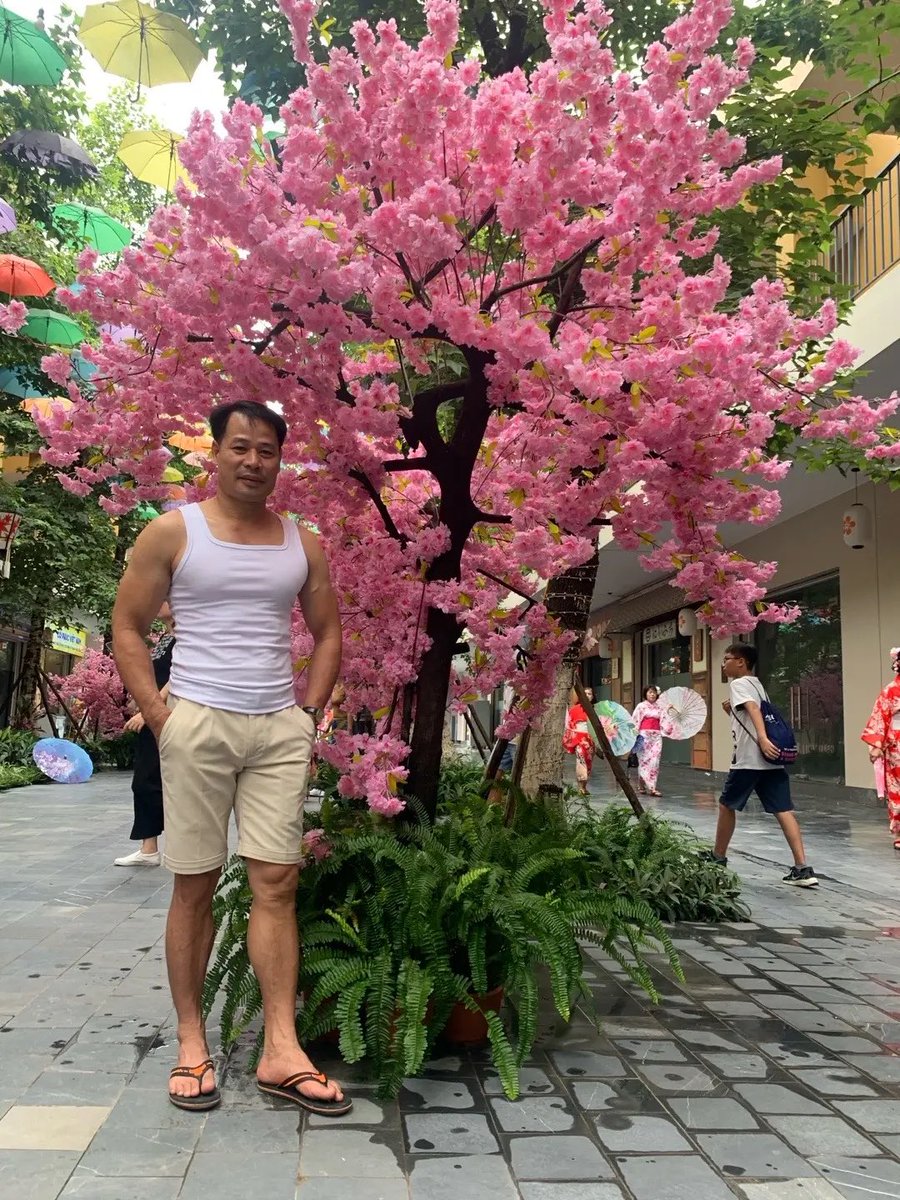 Tony Lê - Gym muscle tweet media