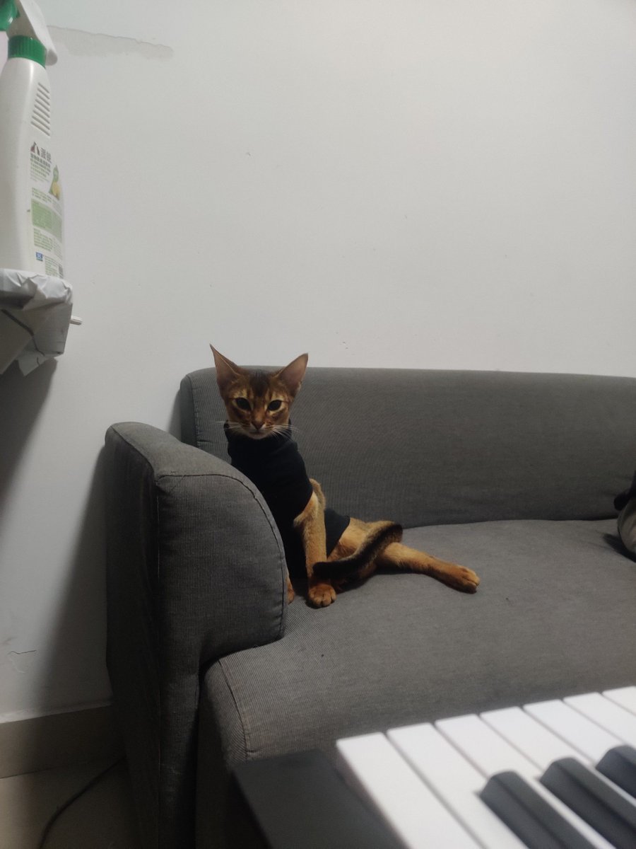 zach barnes tweet media