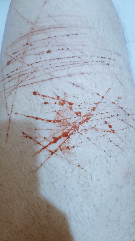 zorroastuto tweet media