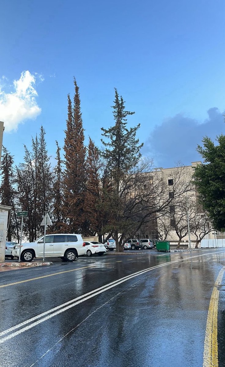 وسام tweet media